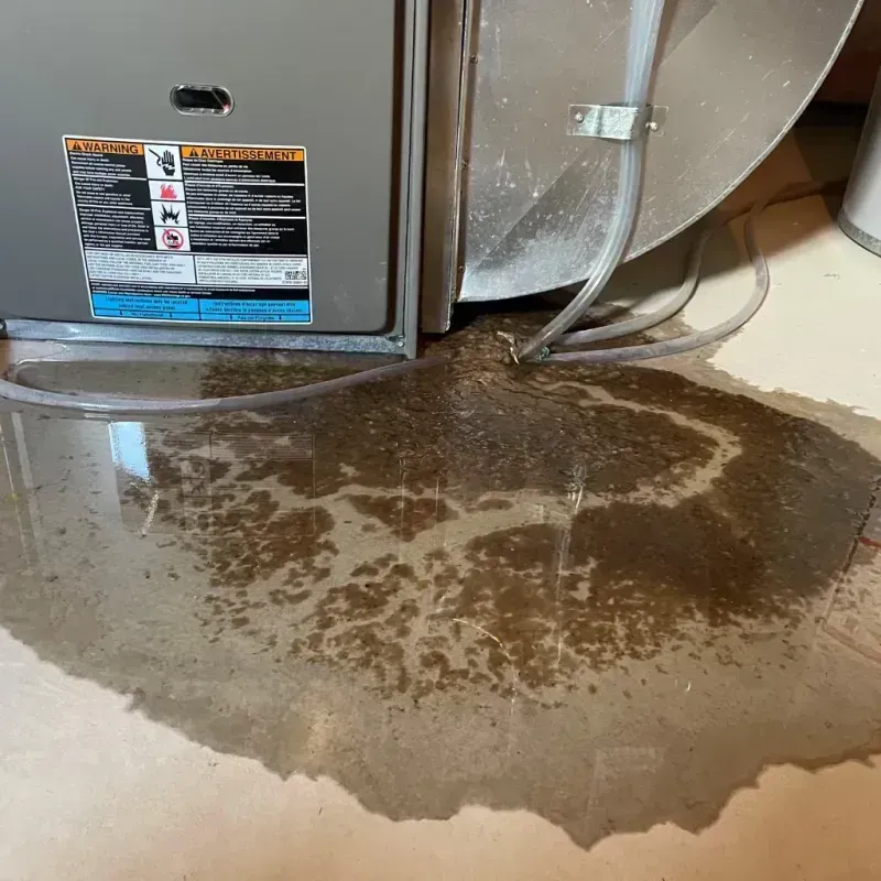 Appliance Leak Cleanup in Mowbray Mountain, TN